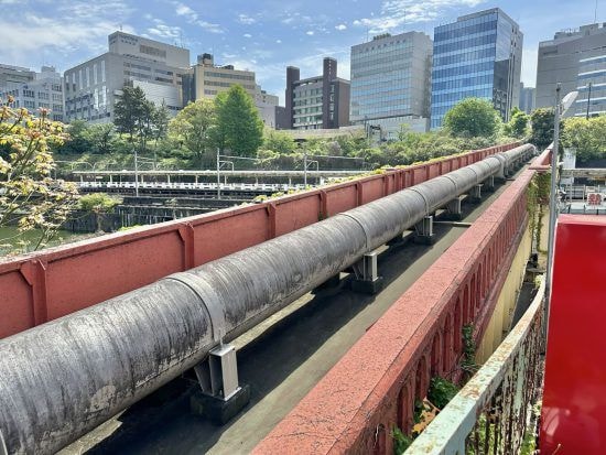 市ヶ谷フィッシュセンター