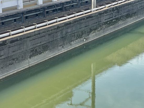 市ヶ谷フィッシュセンター