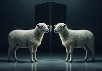 iPS細胞で「人間を丸ごと再生」は勘違い？万能細胞がどれほど進化しても“臓器を作れない”科学的理由