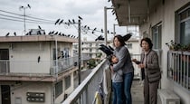 「なんかカラス多くない？」原因は“他人のアパートに毎日ネコの餌を置いていく”高齢女性…問題を解決した意外な方法