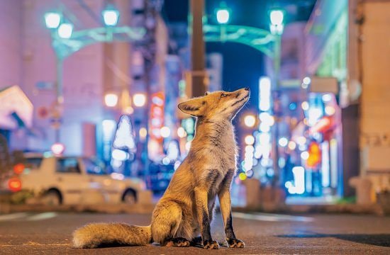 エッジな人々