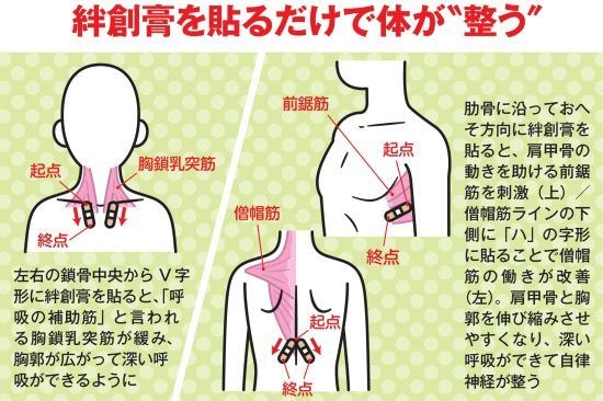 ［疲労回復ブーム］の真実