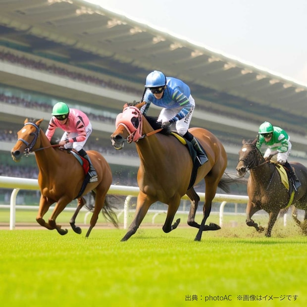 好きな「有馬記念」の優勝馬ランキングTOP10【2025年最新版】