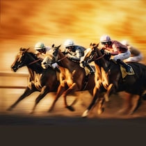 引退レースが泣けた歴代「競走馬」ランキング