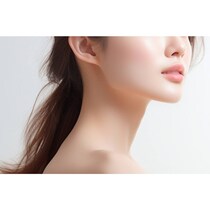 四国出身の「究極の美女」芸能人ランキング