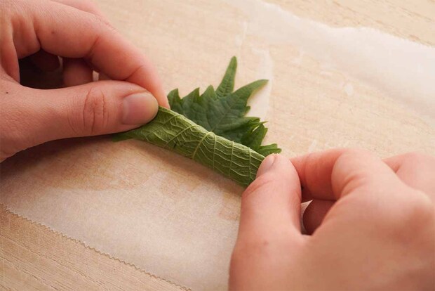 【メンズレシピ】ささみ焼き鳥