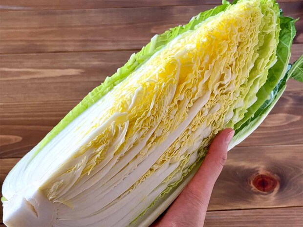 新鮮で美味しい白菜の見分け方のコツ