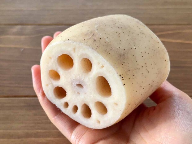 レンコンの見分け方のコツ