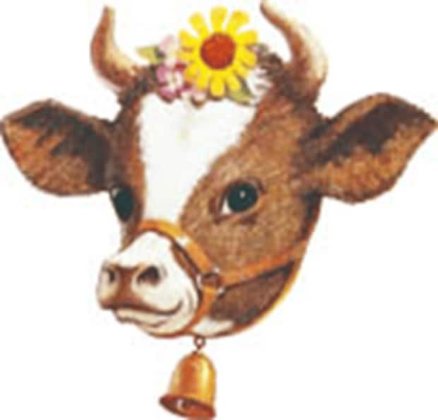 森永のむれん乳ヨーグルト