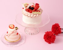 ベルアメール、母の日限定スイーツコレクション発売！美味しい輝きで感謝を伝える特別なスイーツ