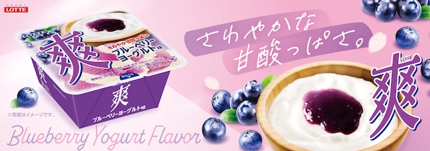 爽 ブルーベリーヨーグルト味