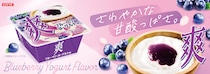『爽　ブルーベリーヨーグルト味』4月13日より発売！ブルーベリーとヨーグルトの甘酸っぱい味わい