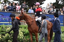 「ロイヤルファミリー」凱旋門賞勝利で日本競馬界最強の座に！SNS「しれっと勝ってる」「見直して気づいた」