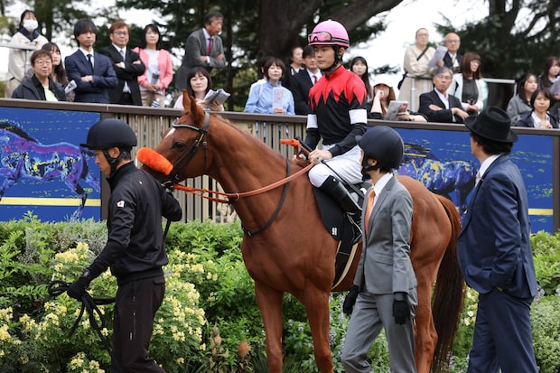 「ロイヤルファミリー」凱旋門賞勝利で日本競馬界最強の座に!SNS「しれっと勝ってる」「見直して気づいた」