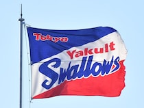 ヤクルト、前エンゼルスのキハダと契約締結　SNS「神宮グルメはキハダのマグロ丼で決まり」「カツオとキハダのリレー楽しみ」