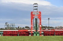 「ロイヤルファミリー」完結御礼動画にSNS「終わってなお、泣かせるんじゃないよ」　仕掛けにも「粋だね」