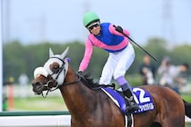 有馬記念　枠順抽選会で「ロイヤルファミリー」ファンが注目するあのGI馬「引き強すぎる」「本当に理想」