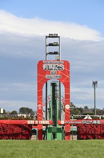 有馬記念、「ロイヤルファミリー」効果でオッズに異変？「不自然なほどに売れている」「みんな考えることは同じ」