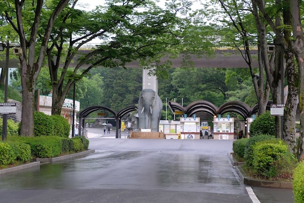 多摩動物公園、園内にオオカミ脱走 SNS驚愕「のんびり動物でも見ようと来たら…」「あの深い堀をどう脱出したのか…」