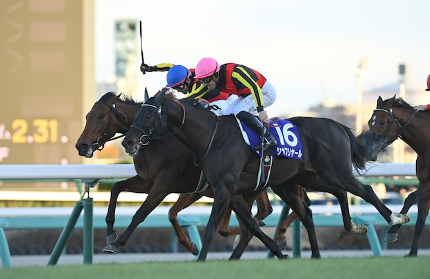 有馬記念 購入者集中でアプリダウン…JRAが注意喚起 SNS「想定内」「ロイヤルファミリー効果恐るべし」