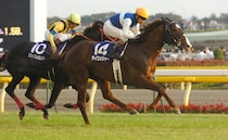 名馬ダイワメジャー死す　“同期”ダンスインザムードの翌日に…「後を追わなくてもいいんだよ」「やはり運命で結ばれてる なお父親」