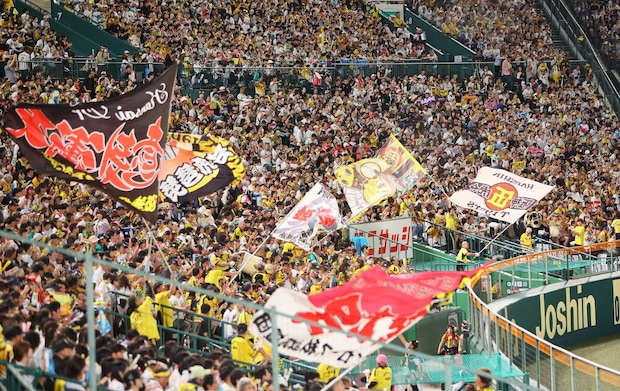 虎党「昨年より繋がらない」「毎回しんどい」争奪戦に”絶望” ルール変更でもサーバーダウン…阪神チケットFC先行販売開始