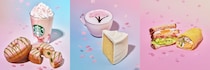 スタバ、「SAKURAシーズン」の新作フード＆グッズ2月18日登場 春の訪れを感じる桜抹茶ドーナツやSTANLEYコラボタンブラーも