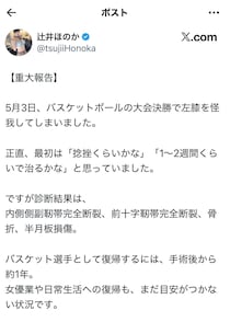 「デリック・ローズと同じって…」セクシー女優・辻井ほのかの重傷報告にネット騒然　実はバスケ日本代表候補だった