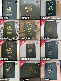 25万円で転売も？　「群馬パスポート」先着順を断念、急遽「抽選制」へ舵を切った背景