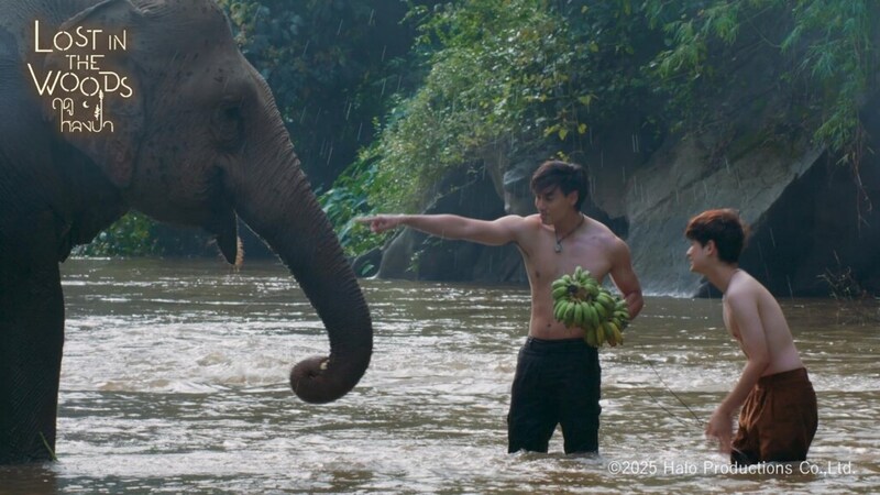 新作タイBLドラマ『Lost in the Woods』1106配信場面写真 03