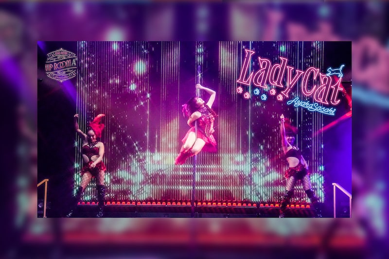 ももクロ 佐々木彩夏 AYAKA NATION 2024 & 2025 Blu-rayファン投票企画結果 / 2024年「Lady Cat」ライブ映像公開