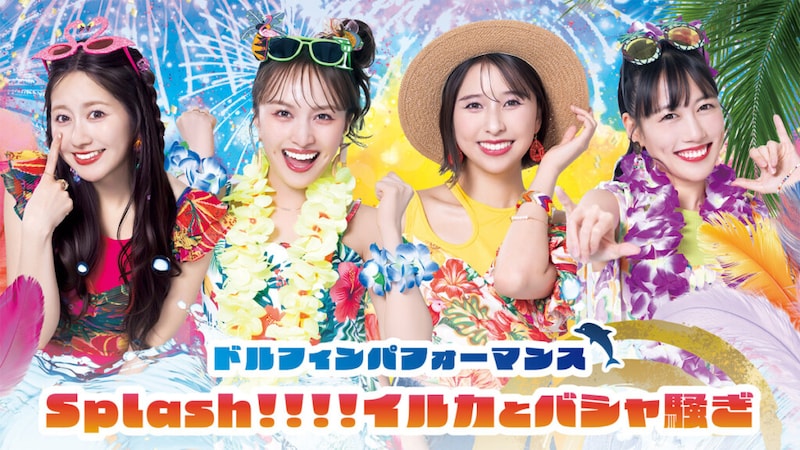 ももクロ×アクアパーク_ドルフィンパフォーマンスバナー