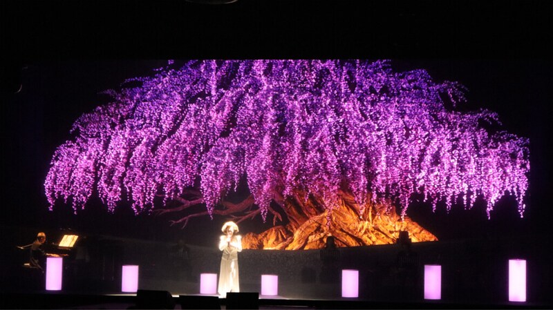 大月みやこ特別公演場面写0