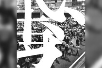 ドレスコーズ 『ノイズ時代』 憲法記念日にサプライズ配信