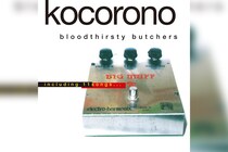 bloodthirsty butchers  2010年に限定販売された『kocorono完全盤」』が初のLP化