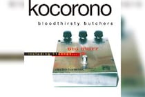 bloodthirsty butchers  2010年に限定販売された『kocorono完全盤」』が初のLP化