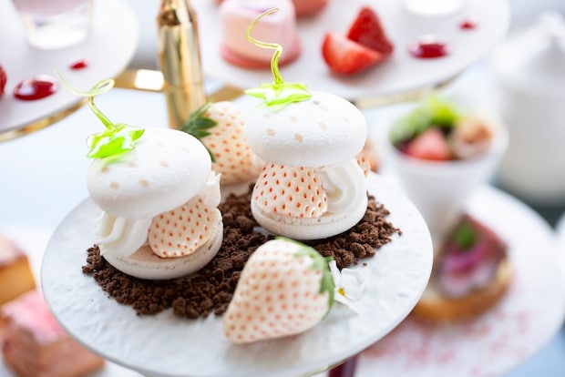 希少な白苺&あまおう使ったキュートな”映え”苺アフタヌーンティー、26年1月6日より東京・芝公園に期間限定登場