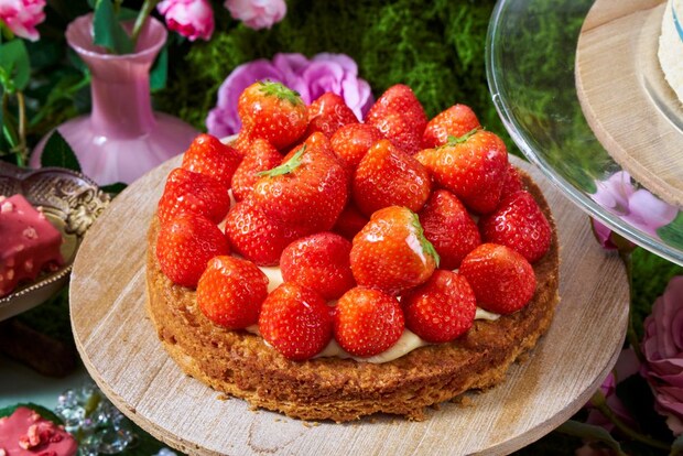 沖縄県:ご褒美苺スイーツ勢揃い プリンセス気分味わえるランチ&スイーツビュッフェ、26年1月24日より曜日限定開催