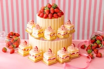 クリスマスケーキをビュッフェサイズに　苺＆ミルクの紅白ビュッフェ「ヒルトン成田」に26年1月5日より期間限定登場
