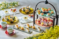 東京・紀尾井町：ミモザがテーマの”寿司スタイル”アフヌン、3月1日より3ヵ月登場