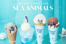 ジェラピケカフェの人気あざらしクレープ復活登場　海洋生物をイメージしたフェア「SEA ANIMALS」5月29日より開催