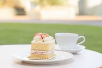 ホテルグランヴィア和歌山：毎年好評の夏企画「ケーキバイキング」7月18・19日の2日間限定展開