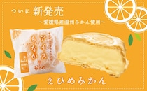 お取り寄せ：愛媛・宇和島の老舗日本料理店が地元産で上品に仕上げた「えひめみかんアイスモナカ」8月1日より先行販売
