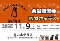 【飯塚】11月9日（日）、カホテラスで「合同譲渡会 IN カホテラス」が開催されます！