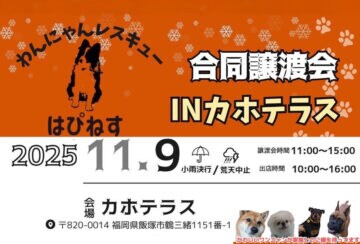 【飯塚】11月9日(日)、カホテラスで「合同譲渡会 IN カホテラス」が開催されます!