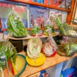 【桂川】スーパーでは見かけない珍しい品種！ノガミファームのオーガニック野菜