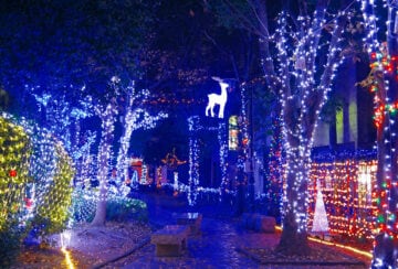 福岡・筑豊イルミネーション2025！今年も筑豊の夜を光の渦で包み込む