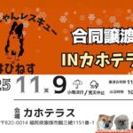 【飯塚】11月9日（日）、カホテラスで「合同譲渡会 IN カホテラス」が開催されます！