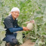 【嘉麻】福岡・筑豊でマスクメロン栽培に挑む！ヤマオカサンチの「よかメロン」