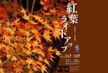 【直方】11月26日（水）～30日（日）、福智山ろく花公園で「紅葉ライトアップ」が開催されます！
